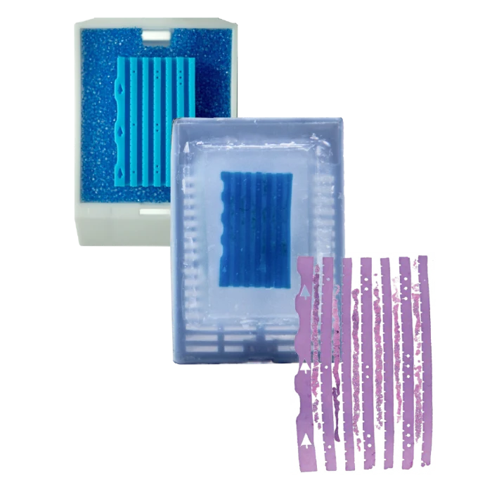 BxChip shown in a cassette, embedded block, and histologic section